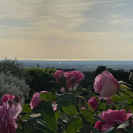 بيت ضيافة “casa Amelie” غروتافراتا