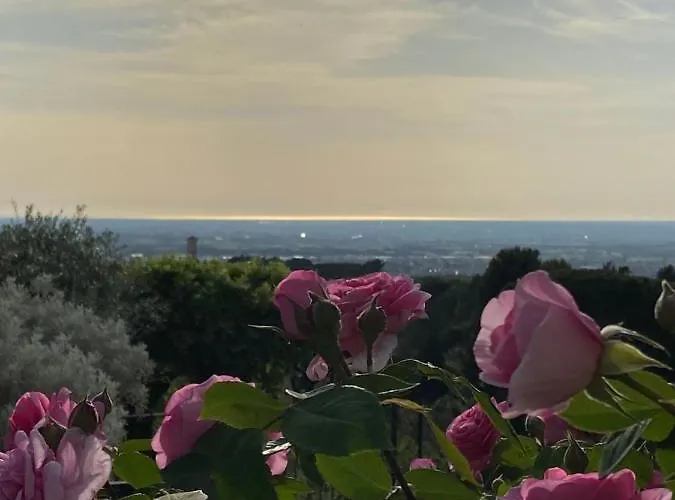 Πανσιόν “casa Amelie” Grottaferrata